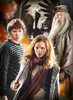 Clementoni Puzzle Harry Pottter 3x1000
